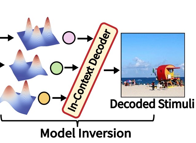 Meta-learning NeuroAI Decoder